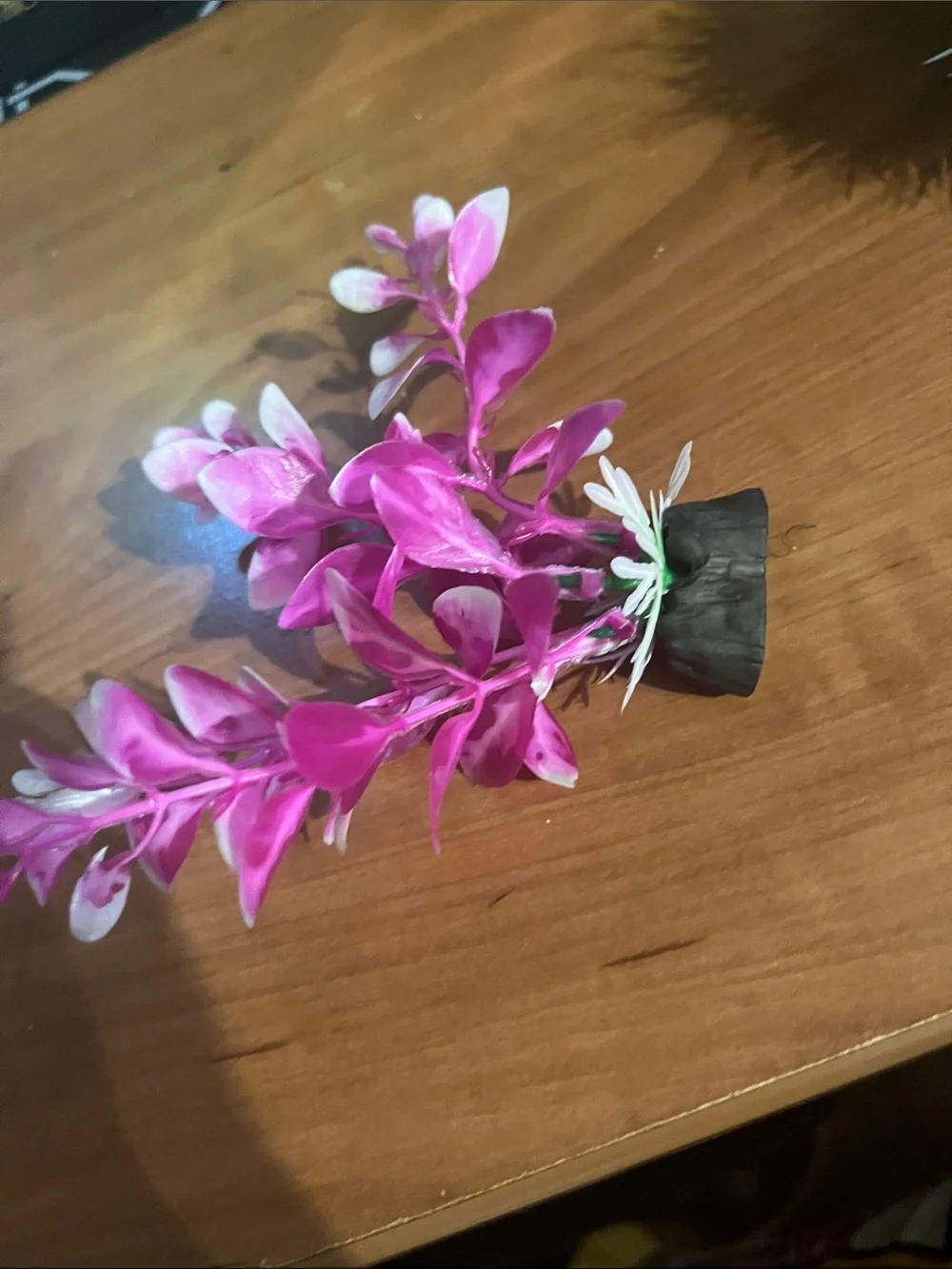 N/A vibrant pink